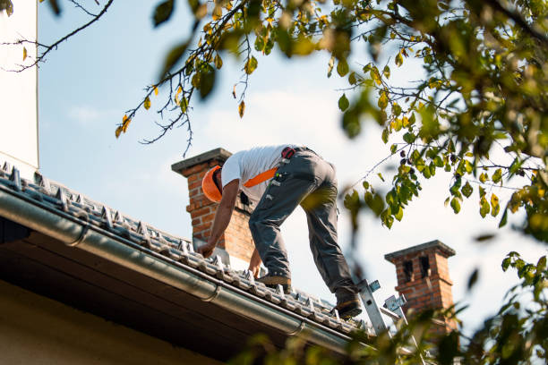 Best Slate Roofing Contractor  in Victoria, MS