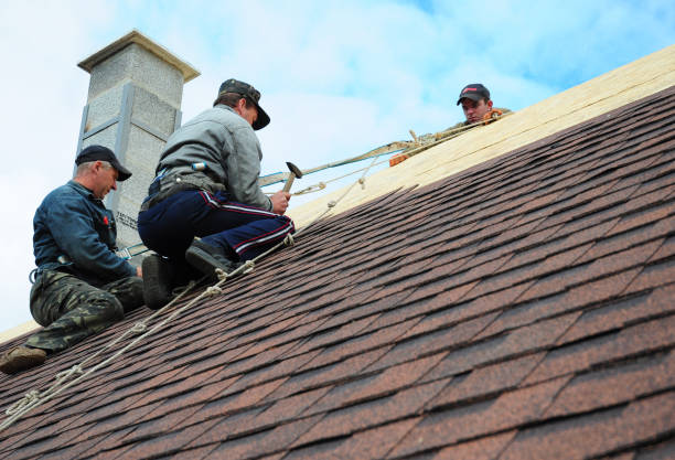 Best Shingle Roofing Installation  in Victoria, MS